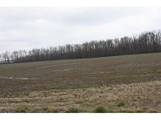 Property photo 15 - 438 +/- Acres Offered in 10 Tracts - Metcalf Farms - 6PM CST